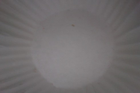 Photo on 3-9-13 at 1.33 PM