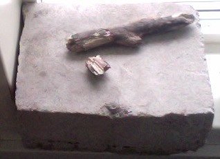 Arrangement for the hopeless mind