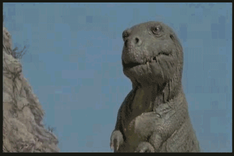 In the idea of the reference of experience