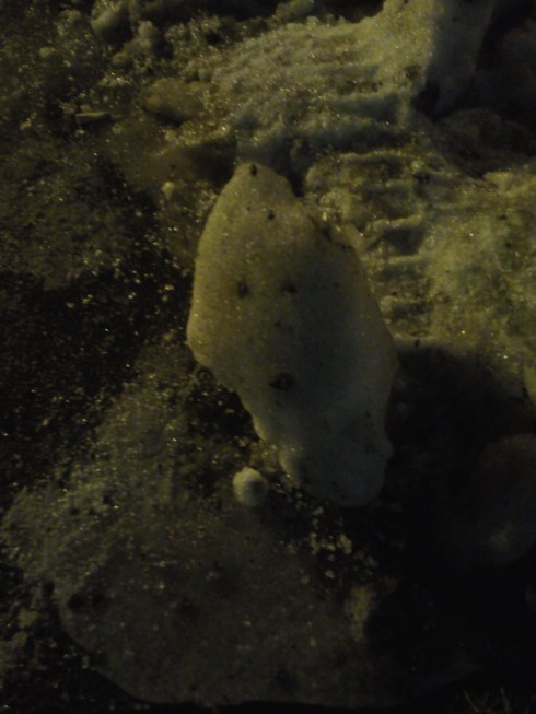 Cassual Acquaintances: Mr. Bramoure