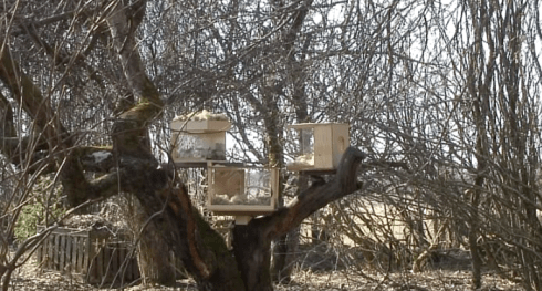 Video by Maija Fredrika Kujanen