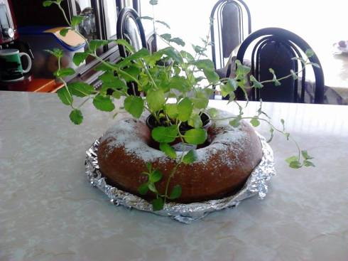 Seizing the opportunity. Referencing a movie. 