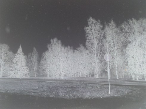 Invert an everyday picture