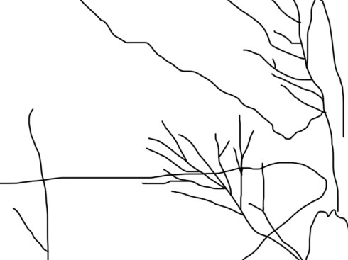 Trying to overdraw quickly a landscape