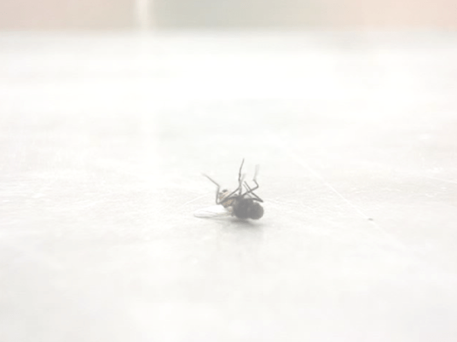 Posting a still of an upcoming video.