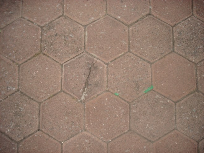 Taking a picture of a pattern. Entrance to my parents house.