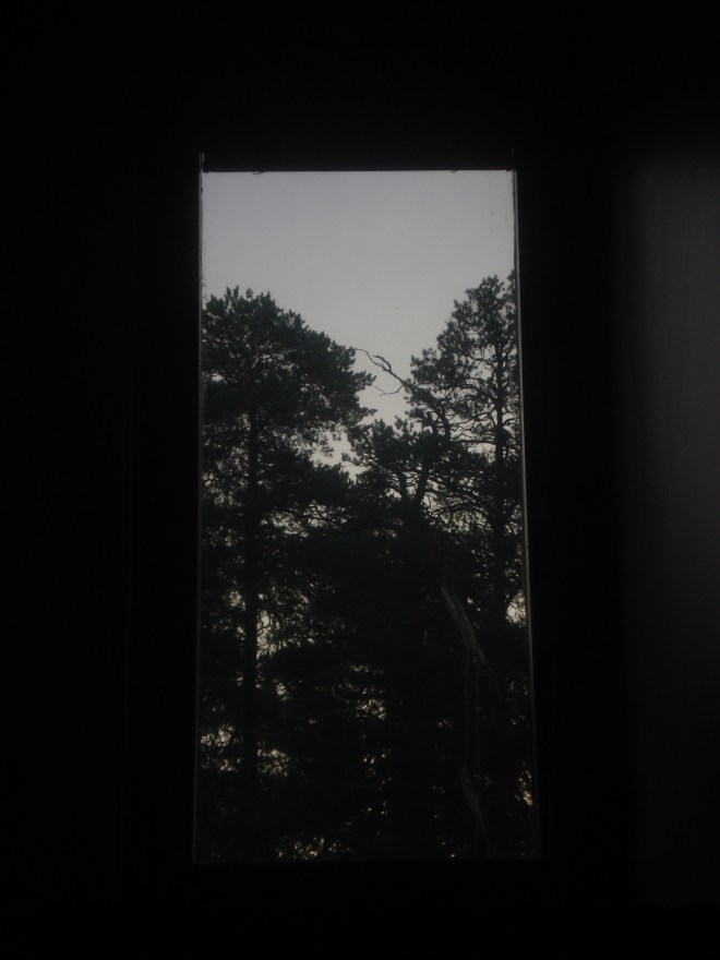 Taking an addition to the window collection. Towards dwelling.