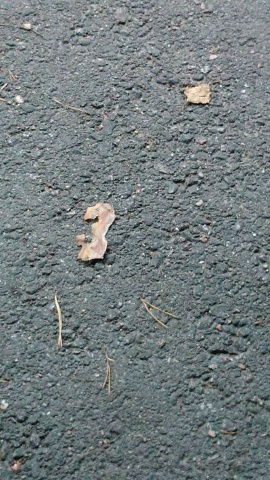 Stomping with the everyday though a number: 3