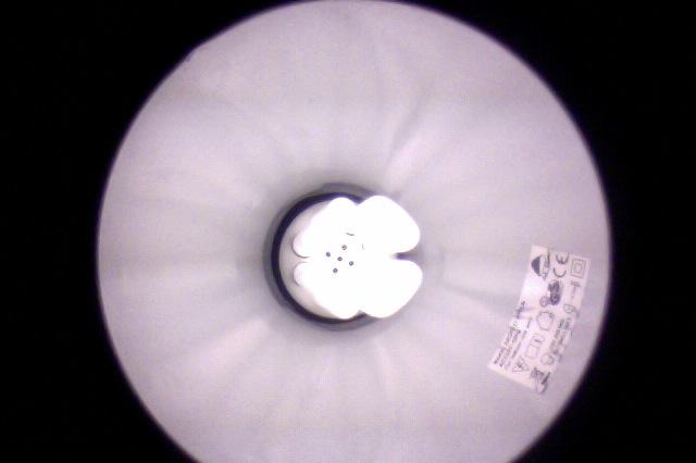 Taking the picture of a lightbulb. 