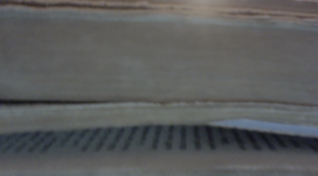 The possibilities of references and availability