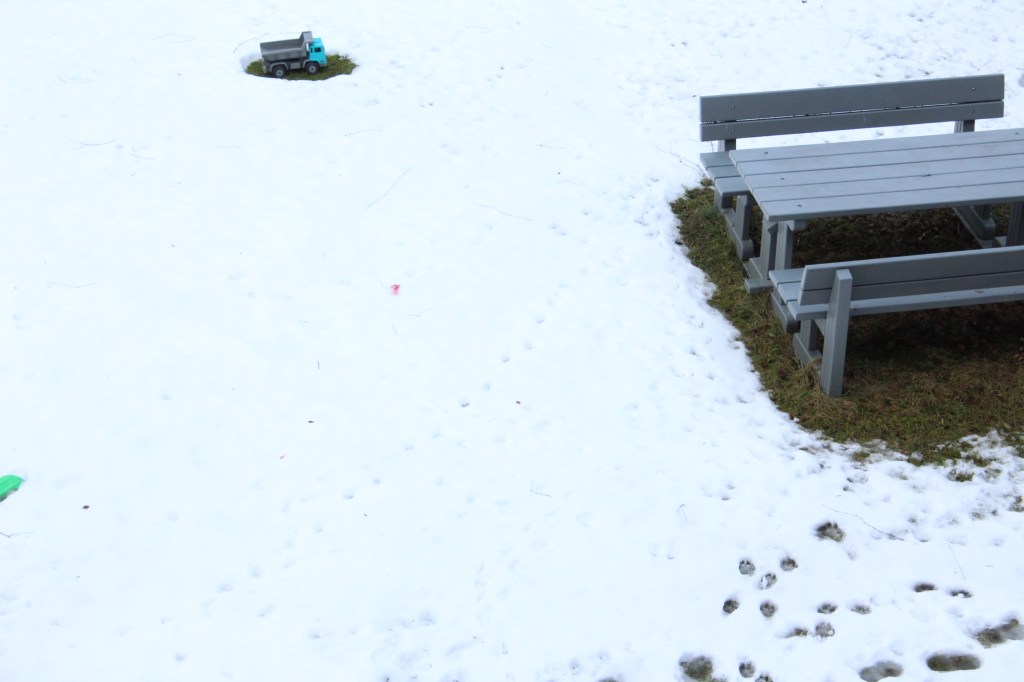 Finding on the everyday2