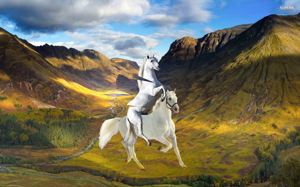 Horse back horse riding. Trying to make the image of a dream.