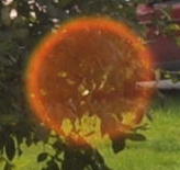 Posting a flare in a picture