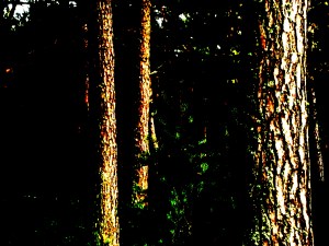 The illusion of the possible