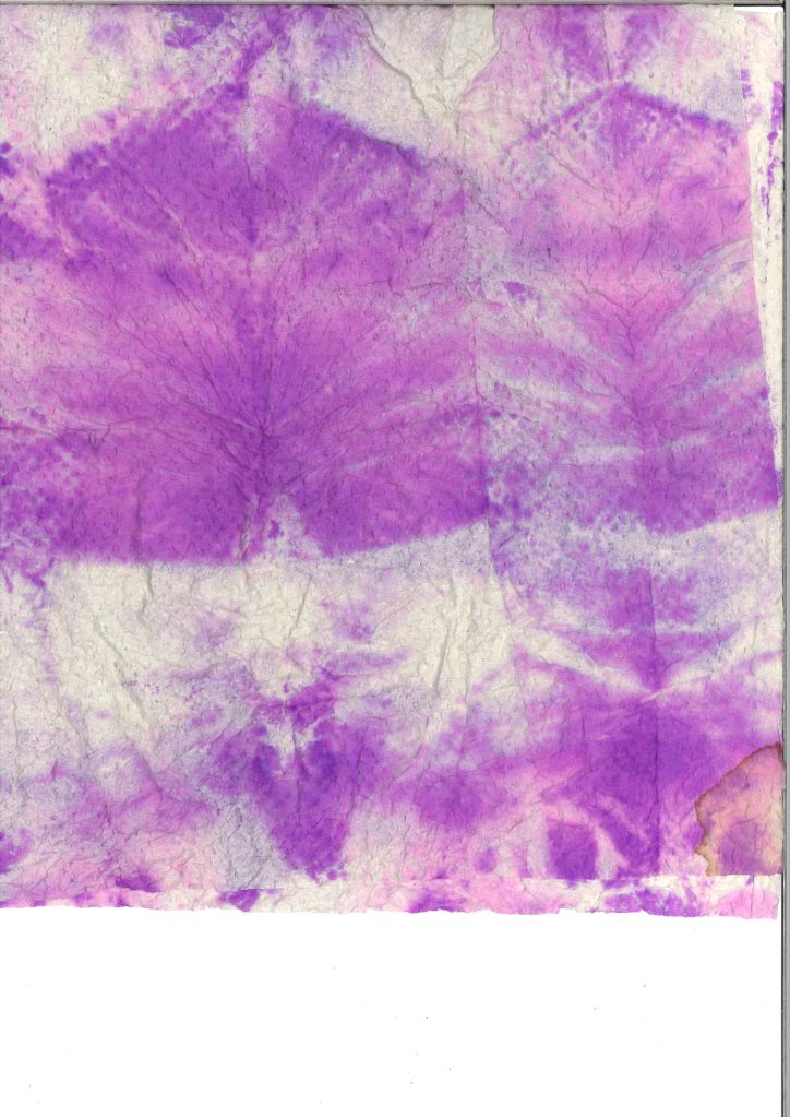 Someone coloured the paper